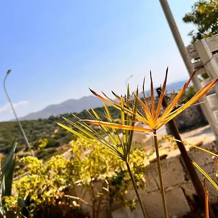 Apartamento Village House Himarë